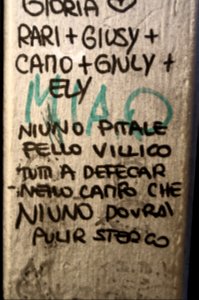 poesia