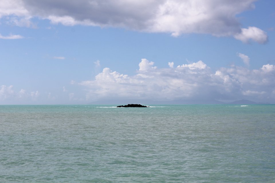 IMG 0247