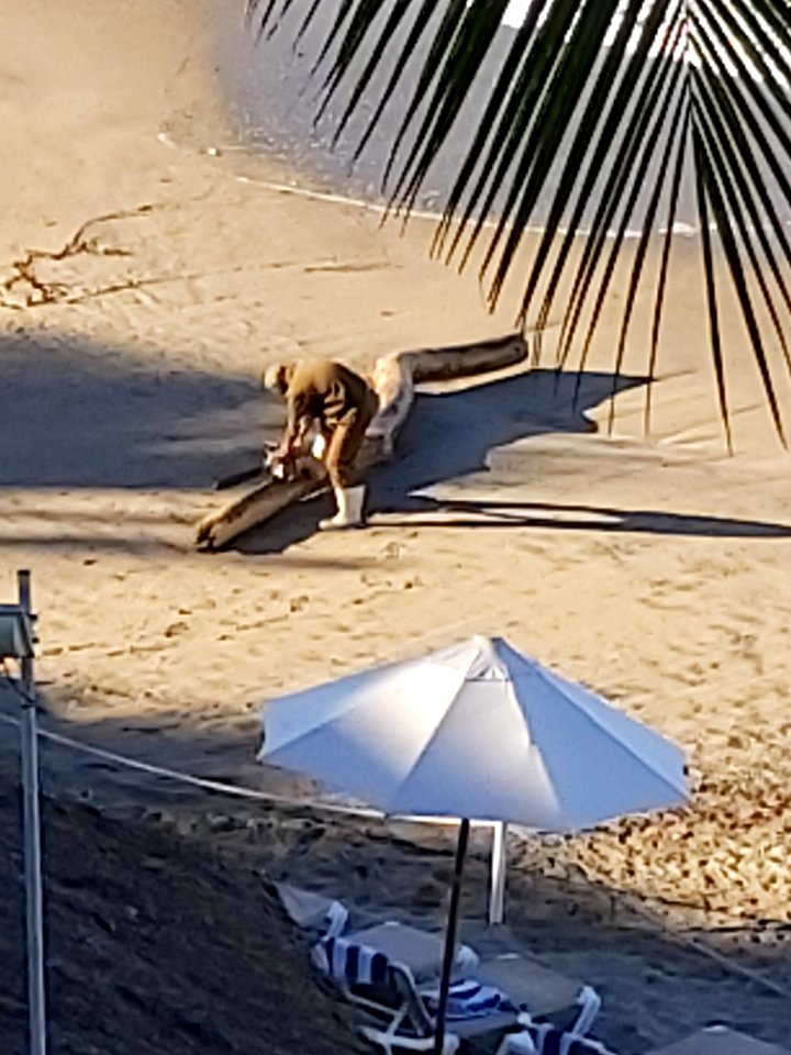 Clearing driftwood