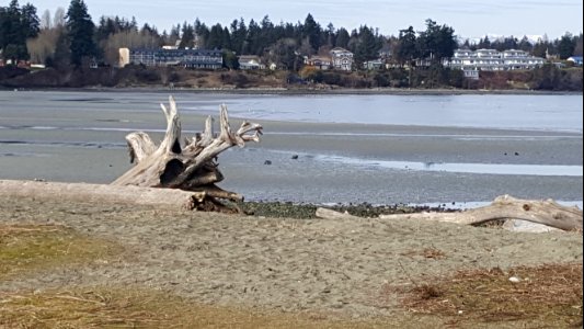 Parksville beach