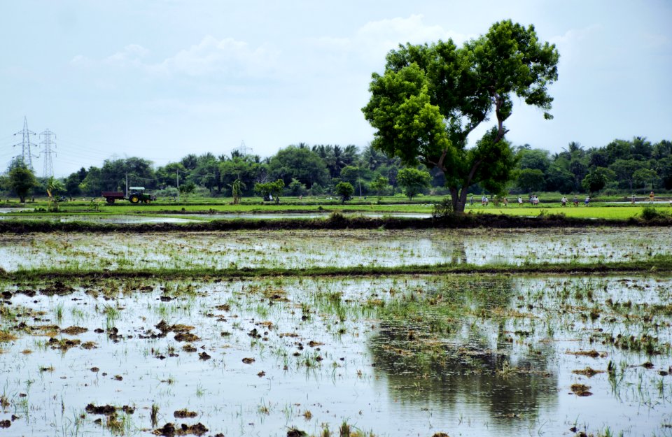 "AGRICULTURE" - IS THE MOST HEALTHFUL,MOST USEFUL AND MOST NOBLE EMPLOYMENT OF MAN . - GEORGE WASHINGTON.