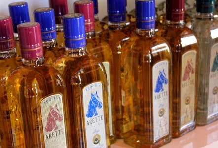 Guadalajara Tequila Town 12