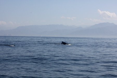 IMG 8559