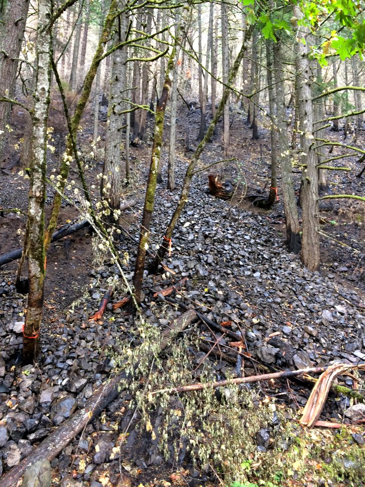 Steep conditions and burned soil make rockfall and landslides a potential danger in the gorge, especially during rainfall.
