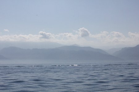 IMG 8480