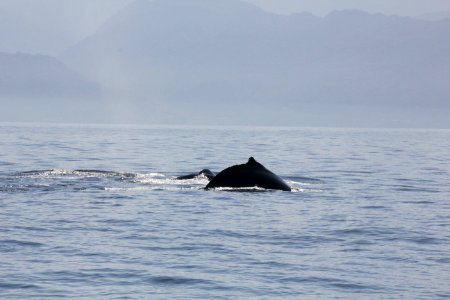 IMG 8584