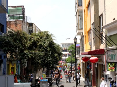 Guadalajara Downtown06