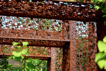 Chelsea Flower Show 2018-41