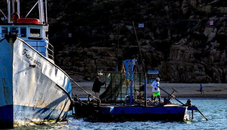 Cabo San Lucas photo