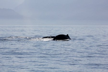 IMG 8586