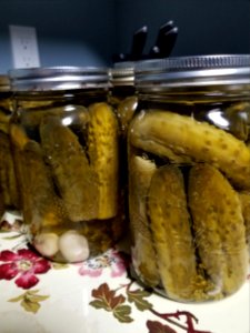 Day 223 pickled photo