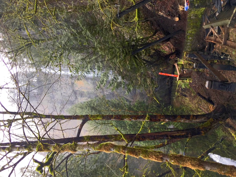 Fixing a rockfall barrier fence along trail to Benson Bridge February 2018 photo