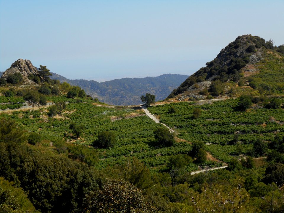 Alona & Polystipos, Cyprus