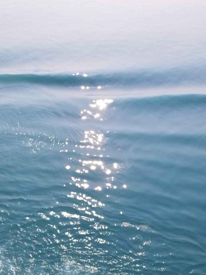 20190710 173815