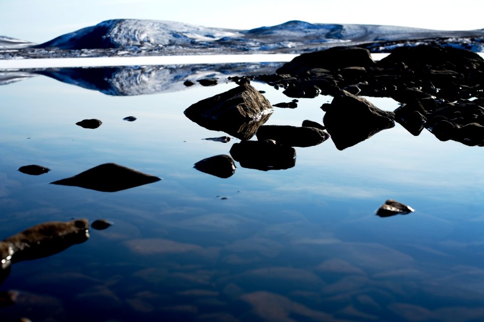 rocks by the shore