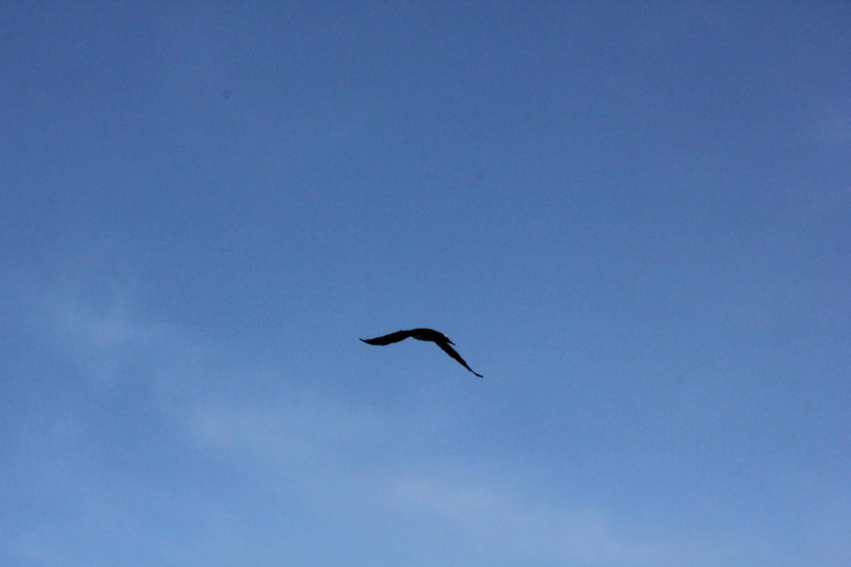 IMG 8603