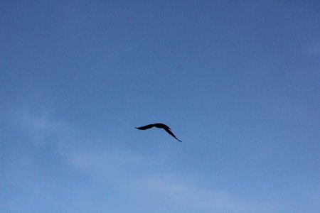IMG 8603