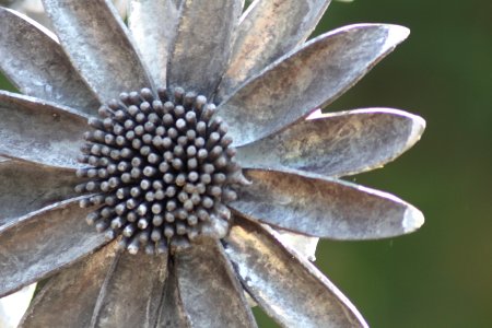 Chelsea Flower Show 2018-69