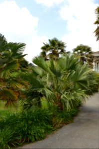 DSC 0349