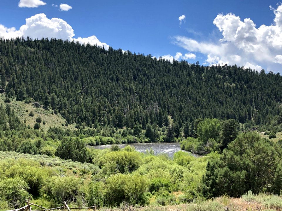 Corral Creek CG.Robin Wellhouse