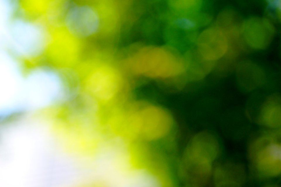 Green Nature Blur
