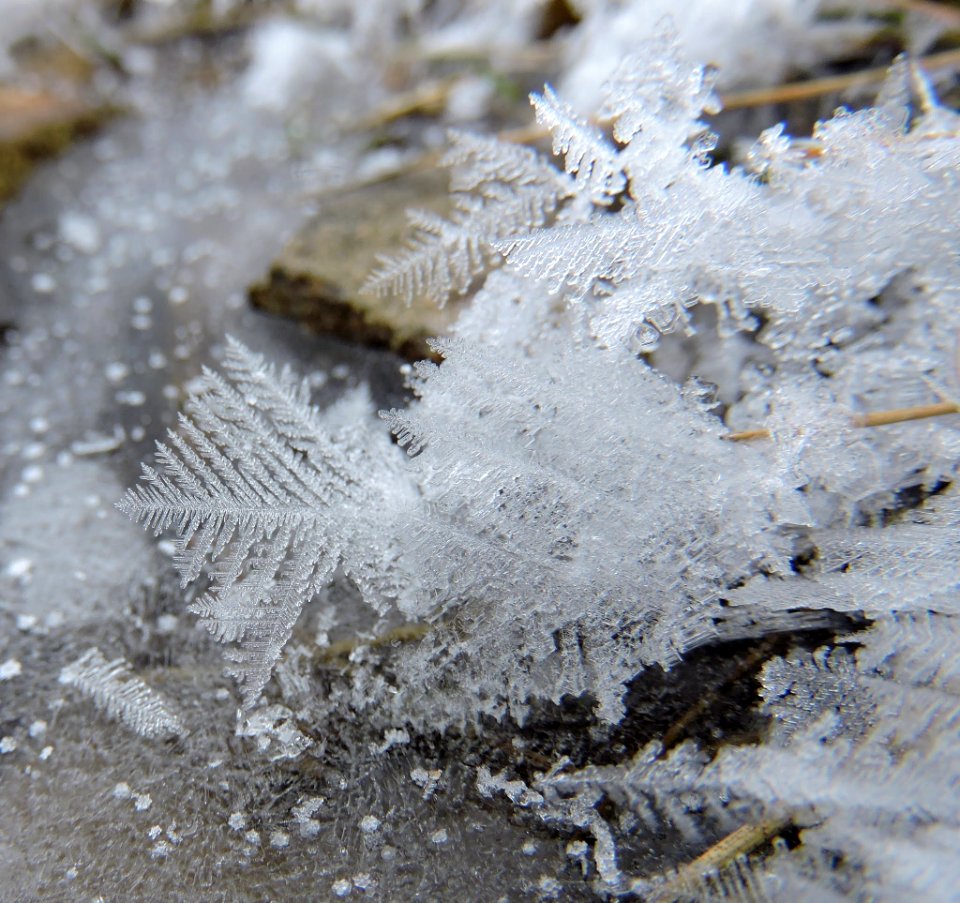 Ice Crystals in Stream