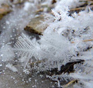 Ice Crystals in Stream photo