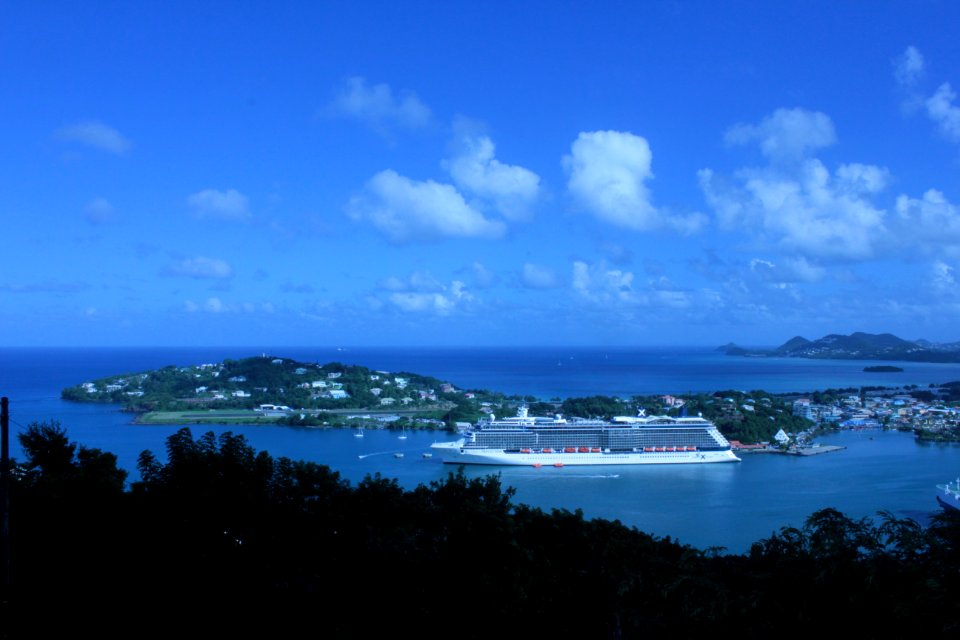 IMG 0263