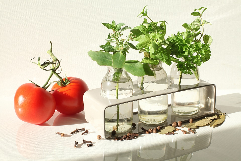 Tomato table top kitchen