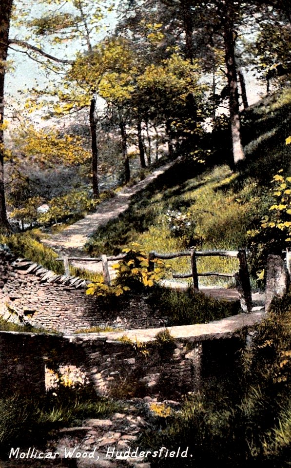 Mollicar Wood, Huddersfield