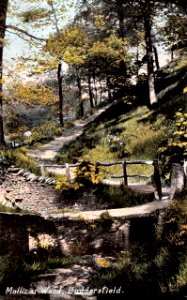 Mollicar Wood, Huddersfield