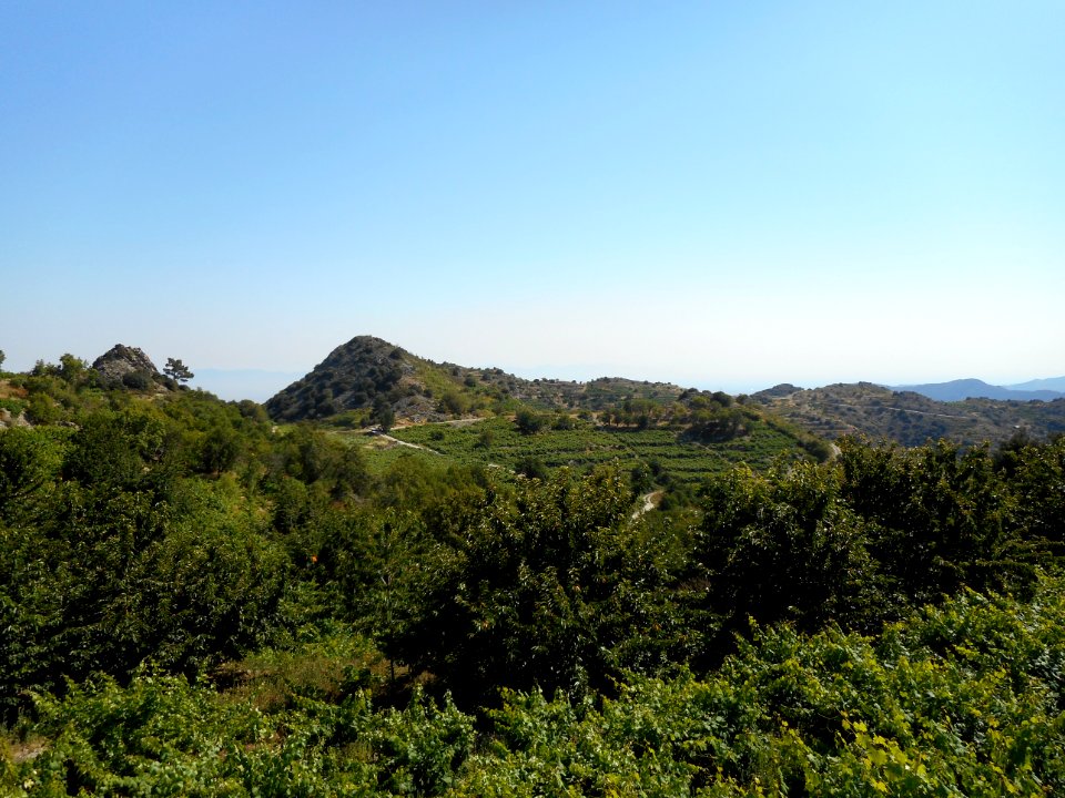 Alona & Polystipos, Cyprus