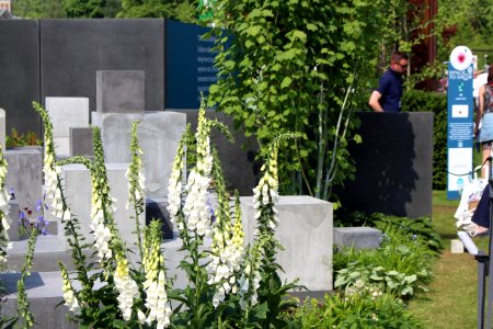 Chelsea Flower Show 2018-37