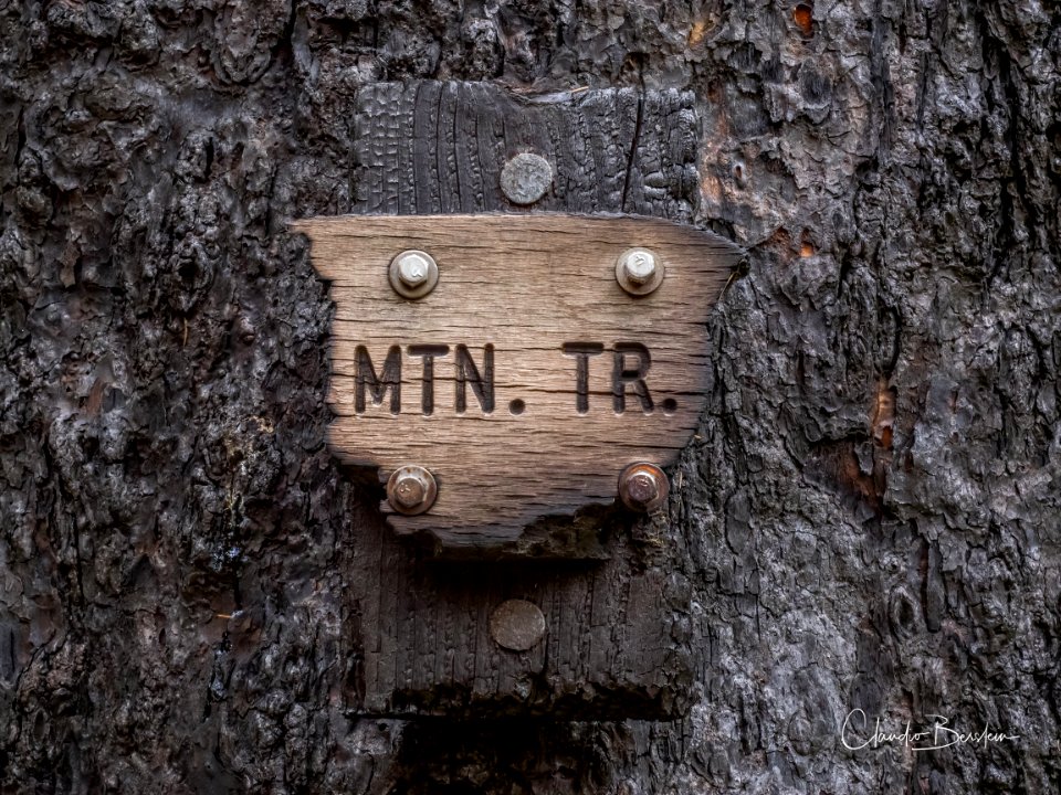 What's left of Larch Mountain Trail sign along Larch Mountain Trail. Photo courtesy of Trailkeepers of Oregon.