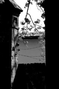  DSC1077