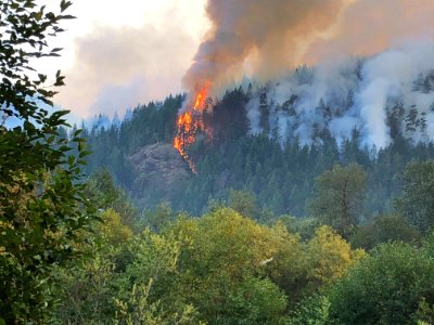 Maple Fire in Hamma Hamma area at Olympic National Forest August 2018. photo