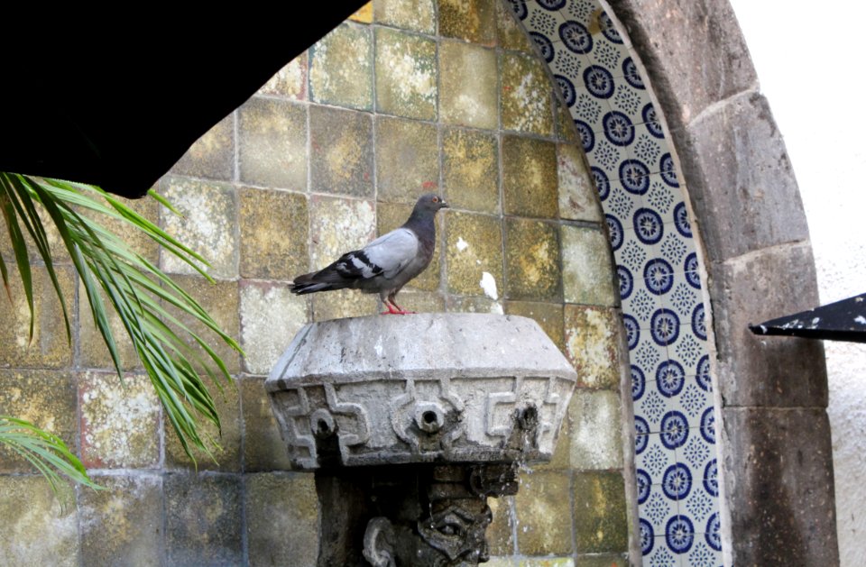 Guadalajara Tlaquepaque 03