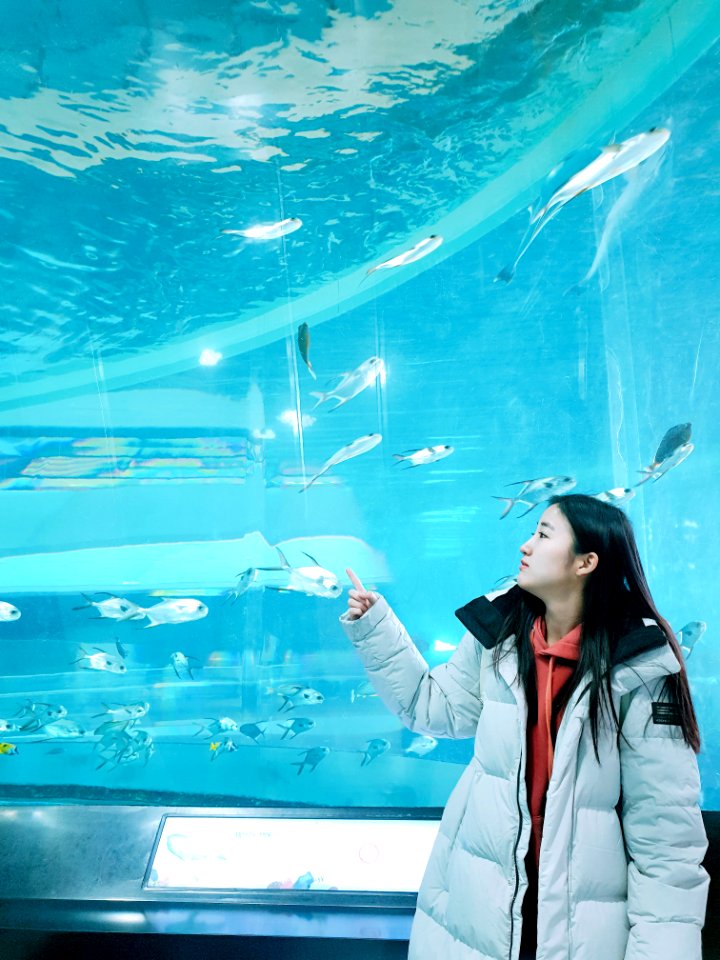 National Maritime Museum