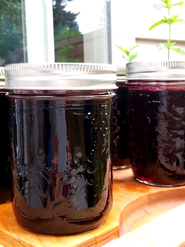 blackberry jelly