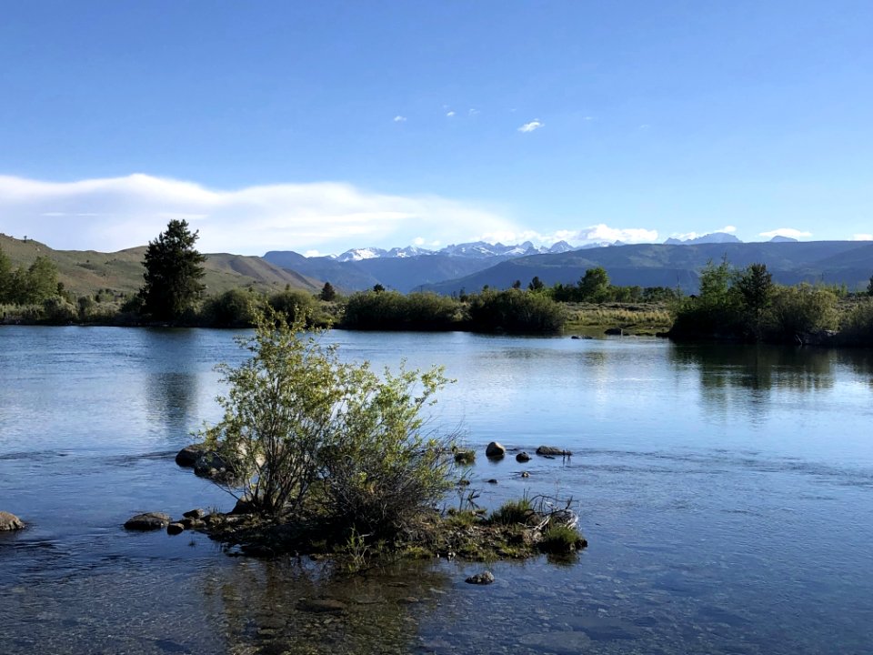 PFO CCC Ponds.Robin Wellhouse