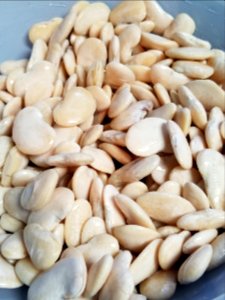 Day 052 Magic beans