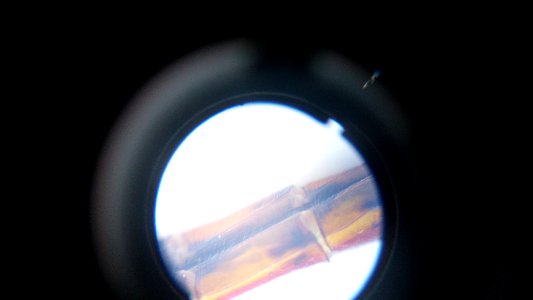 Microscope