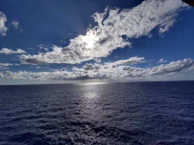 Celebrity Reflection