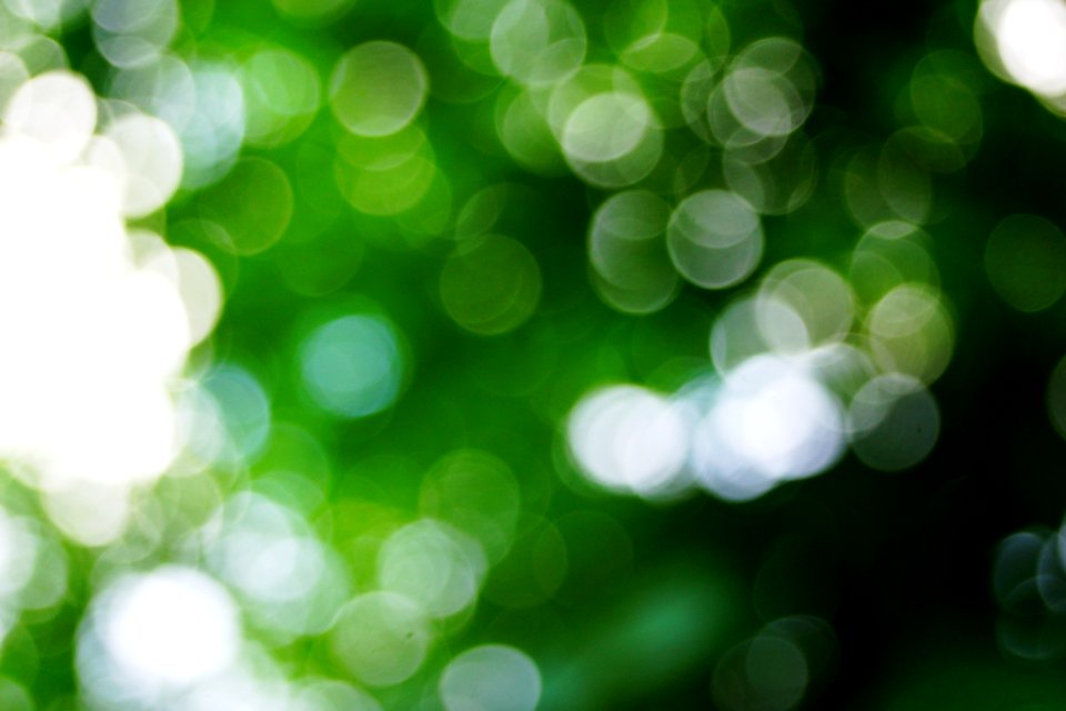 Green Nature Blur