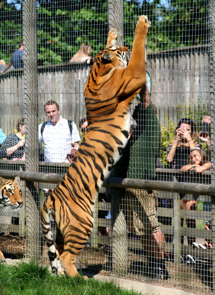Wingham Wildlife Park