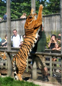 Wingham Wildlife Park photo