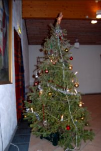DSC 0919
