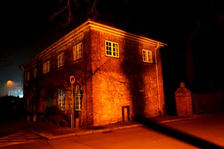  DSC6633