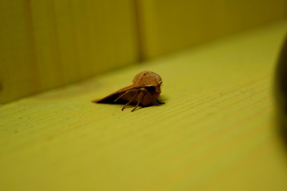 DSC01126