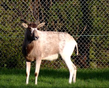 IMG 8838